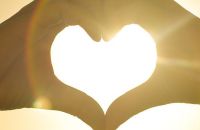 foto handen hartvorm